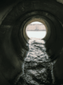 hydroleap